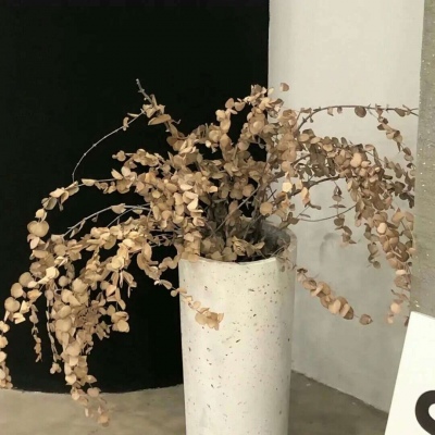 Furry插画故事感设计兽圈群